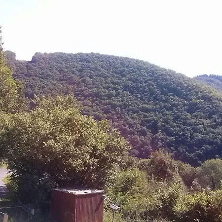Waldblick I Lejlighed